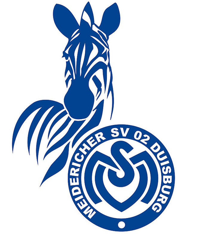MSV .jpg