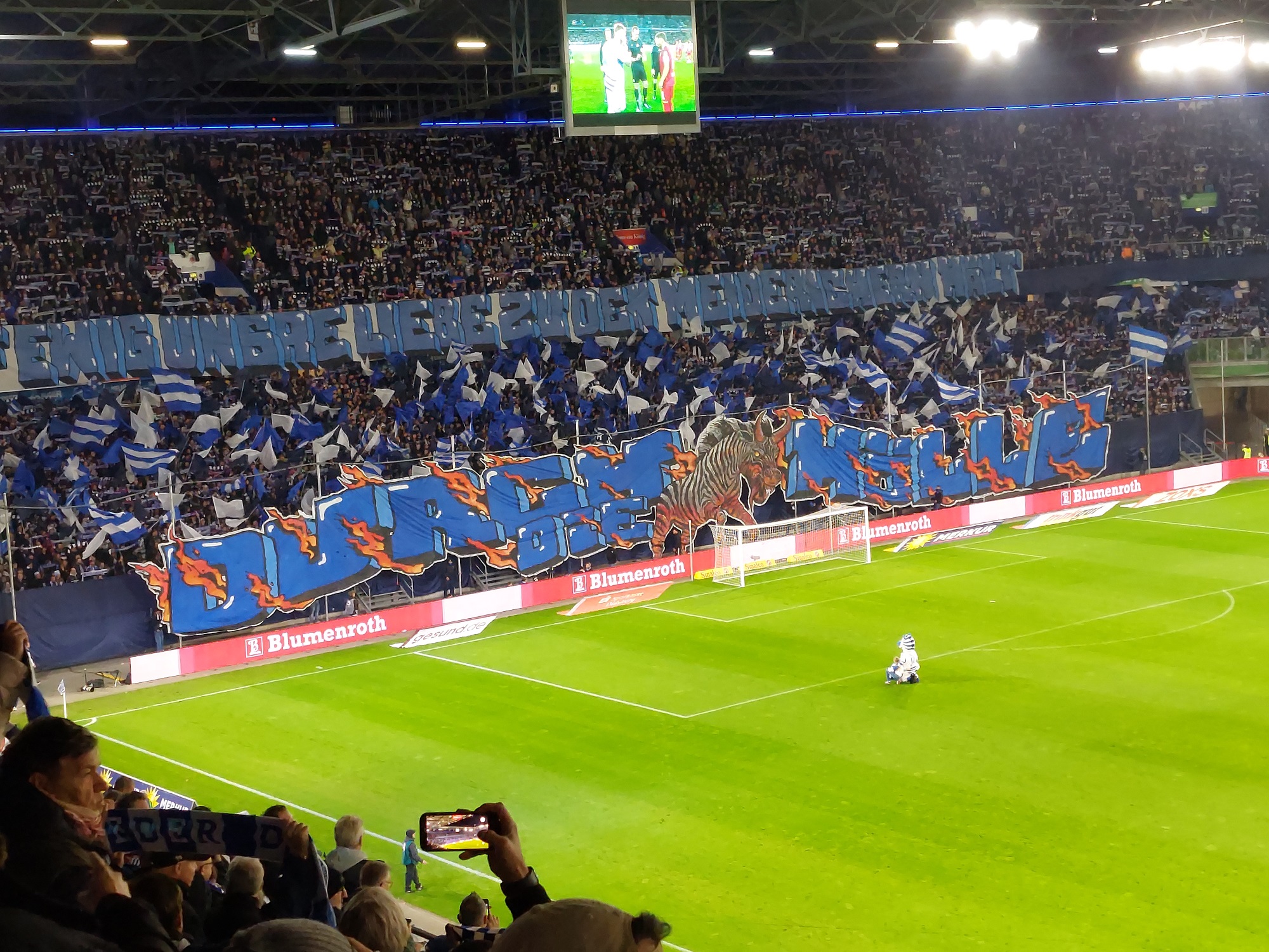 20251026_192818 2.jpg