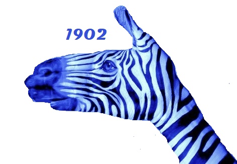 zebra3jpg.jpg