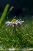 DSC03089-28.jpg
