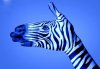 Zebra-480x340.jpg