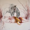 zebra 213214564654.jpg