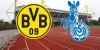 947368800639check_bvb-msv.jpg
