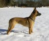 IMG-20180616-WA0006.jpg