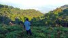 IMG_20200212_074337_4.jpg