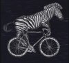 bike.jpg