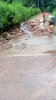 IMG_20200324_162658_6.jpg
