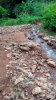 IMG_20200324_162844_8.jpg