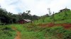 IMG_3841-1.JPG