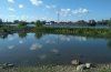 IMG_20200514_121541.jpg