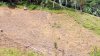IMG_20200707_113435_9.jpg