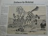 Rodeo mit Zebra.JPG