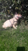 upload_2021-4-21_13-13-1.png