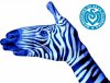 zebra neu.jpg