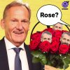 Rose gefällig.jpg