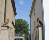haniel_hunde_web.jpg haniel_hunde_web.jpg