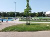 IMG_20230709_122019.jpg