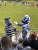 IMG_5463.jpeg