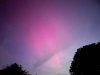 IMG_4065.jpeg