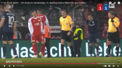 vfl3.png