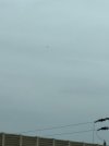 IMG_7195.jpeg