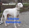 IMG-20160925-WA0001.jpg