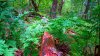 DSC00001.JPG
