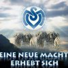 FB_IMG_1503640231100.jpg
