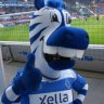 Knuspertiger