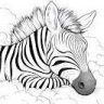 lazy-zebra