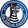 Streifnzebra1902