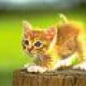 tigger_81