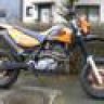 dragon2204