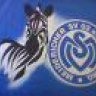 Buci1987