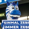 alpenzebra