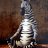 Tränenzebra