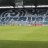 Zebrafohlen_1902