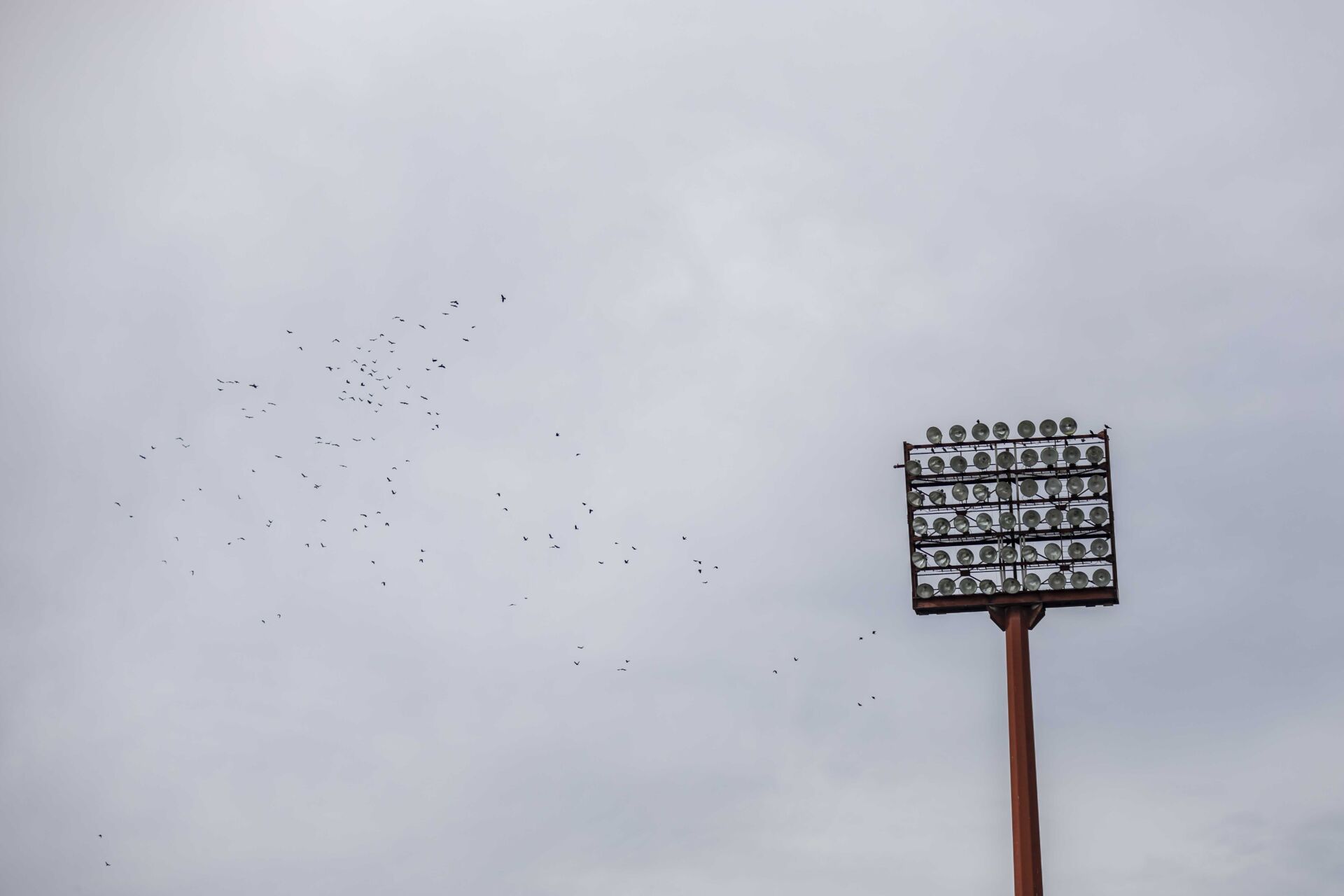 www.kfc-uerdingen.de