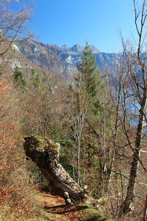 IMG_5494.JPG