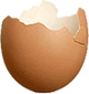 eierschale1_kl.gif