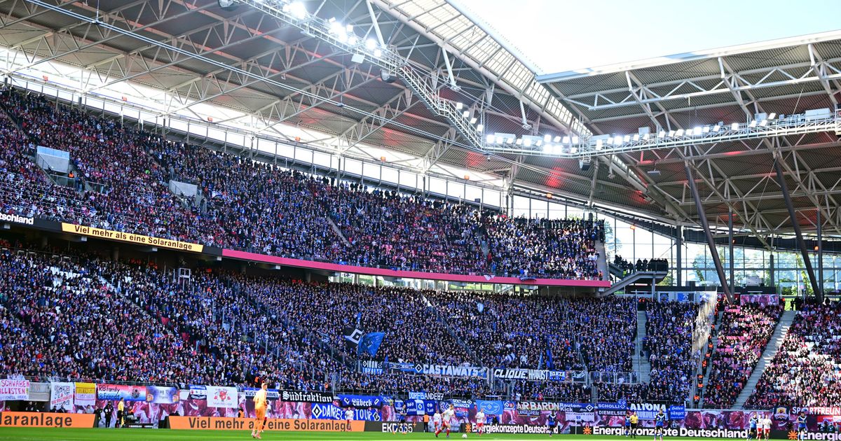 www.hsv.de
