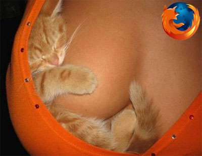 catcontentmalwieder_thenewfirefoxlogo1.jpg
